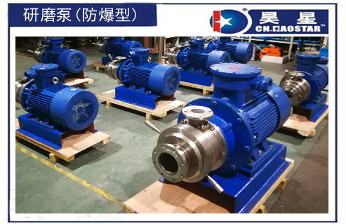防爆直聯(lián)式研磨泵1.jpg 防爆直聯(lián)式研磨泵1.jpg