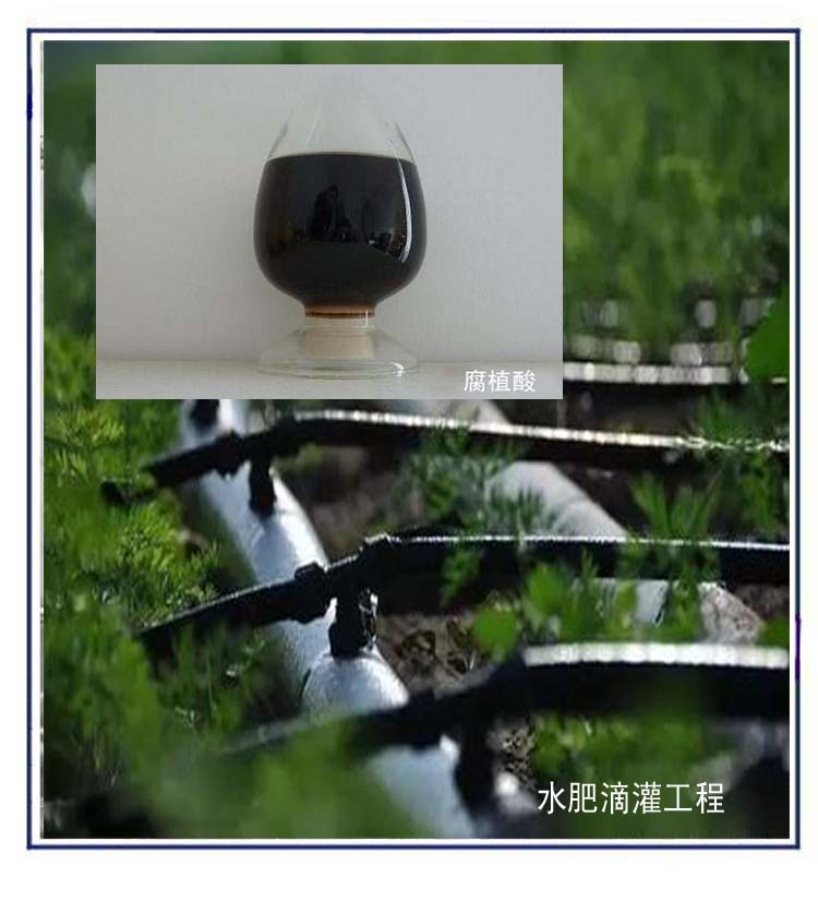 無標題  5.jpg 無標題  5.jpg